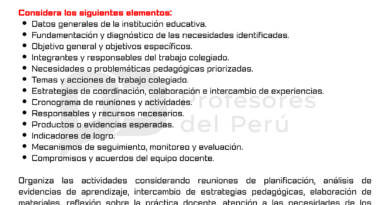 Prompt para elaborar un plan de trabajo colegiado